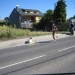 XXVI-Marathon-Toral-2010-pt2---21